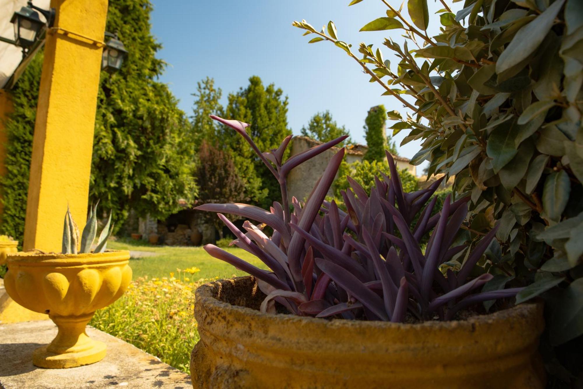 A Sobreirinha Jacuzzi E Pet Friendly Villa Sobreira Formosa Exterior foto